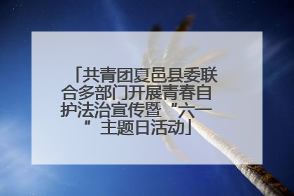共青团夏邑县委联合多部门开展青春自护法治宣传暨“六一”主题日活动