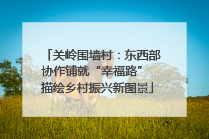 关岭围墙村：东西部协作铺就“幸福路” 描绘乡村振兴新图景