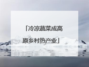 冷凉蔬菜成高原乡村热产业