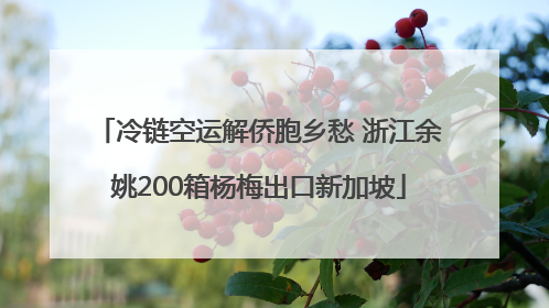 冷链空运解侨胞乡愁 浙江余姚200箱杨梅出口新加坡