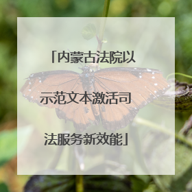 内蒙古法院以示范文本激活司法服务新效能