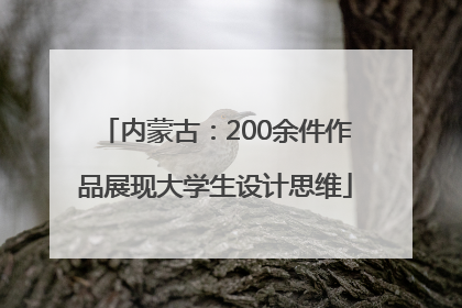 内蒙古：200余件作品展现大学生设计思维