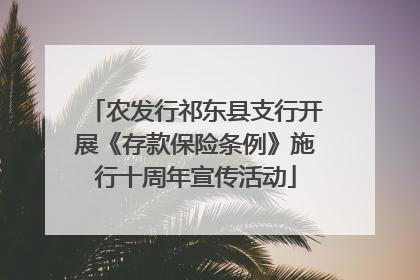 农发行祁东县支行开展《存款保险条例》施行十周年宣传活动