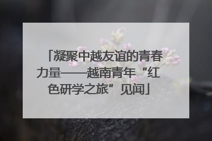 凝聚中越友谊的青春力量——越南青年“红色研学之旅”见闻