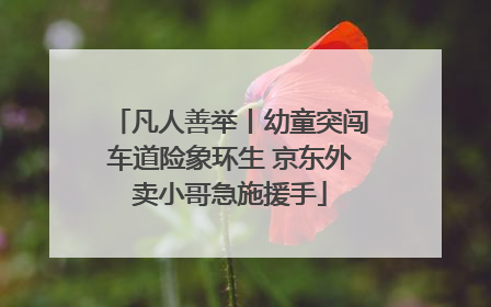 凡人善举丨幼童突闯车道险象环生 京东外卖小哥急施援手