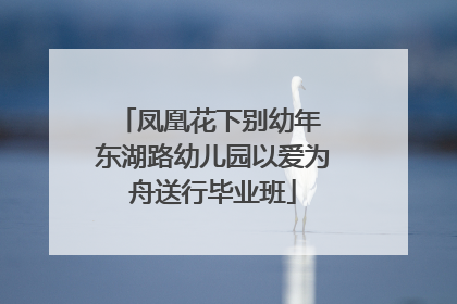 凤凰花下别幼年 东湖路幼儿园以爱为舟送行毕业班