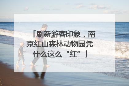刷新游客印象，南京红山森林动物园凭什么这么“红”