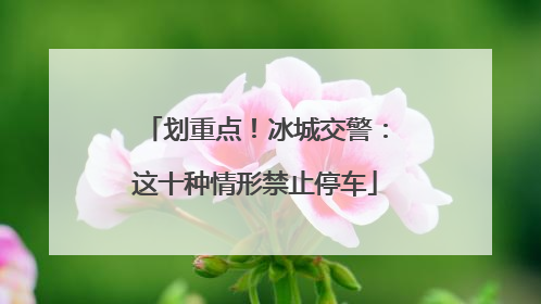 划重点！冰城交警：这十种情形禁止停车