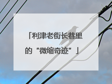 利津老街长巷里的“微缩奇迹”