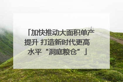 加快推动大面积单产提升 打造新时代更高水平“洞庭粮仓”
