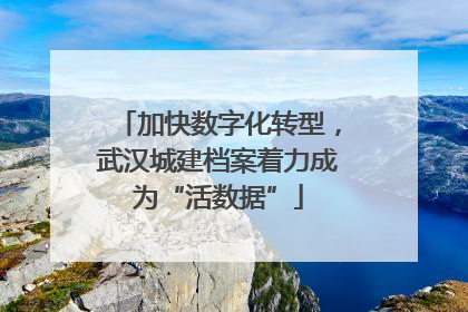 加快数字化转型，武汉城建档案着力成为“活数据”