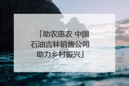 助农惠农 中国石油吉林销售公司助力乡村振兴