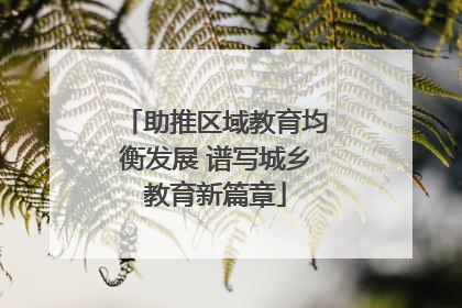助推区域教育均衡发展 谱写城乡教育新篇章