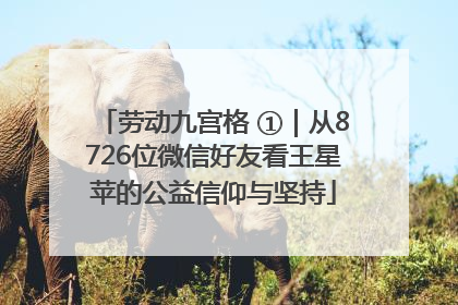 劳动九宫格 ①｜从8726位微信好友看王星苹的公益信仰与坚持