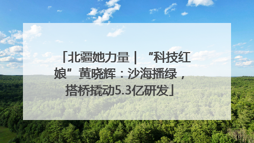 北疆她力量｜“科技红娘”黄晓辉：沙海播绿，搭桥撬动5.3亿研发