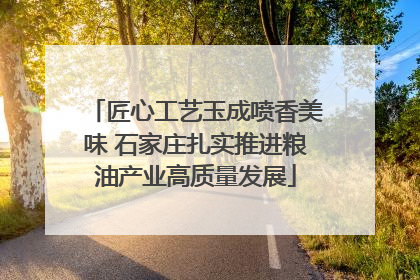 匠心工艺玉成喷香美味 石家庄扎实推进粮油产业高质量发展