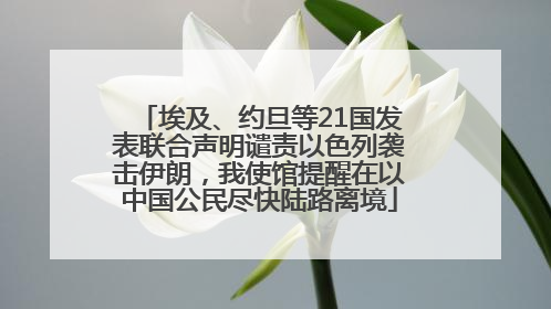 埃及、约旦等21国发表联合声明谴责以色列袭击伊朗，我使馆提醒在以中国公民尽快陆路离境