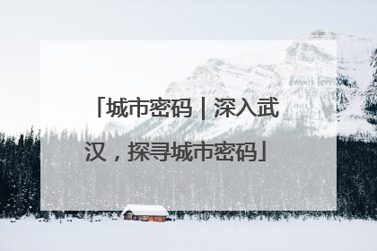 城市密码｜深入武汉，探寻城市密码