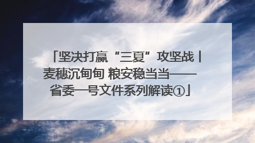 坚决打赢“三夏”攻坚战丨麦穗沉甸甸 粮安稳当当——省委一号文件系列解读①