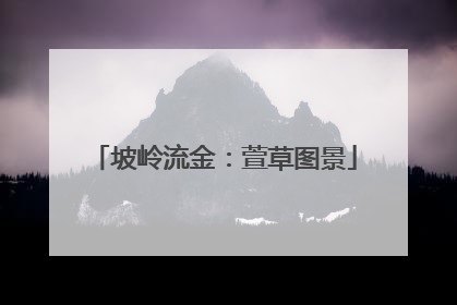 坡岭流金：萱草图景