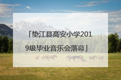 垫江县高安小学2019级毕业音乐会落幕