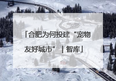 合肥为何投建“宠物友好城市”｜智库