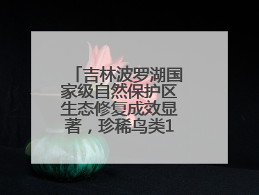 吉林波罗湖国家级自然保护区生态修复成效显著，珍稀鸟类10年增加5倍