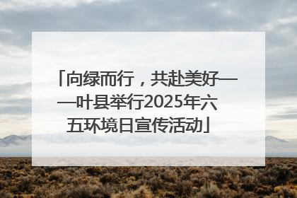 向绿而行，共赴美好——叶县举行2025年六五环境日宣传活动