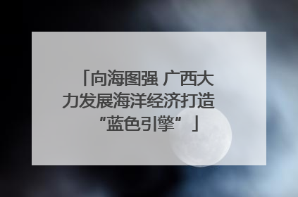 向海图强 广西大力发展海洋经济打造“蓝色引擎”