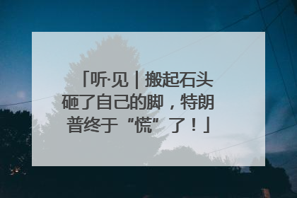 听·见｜搬起石头砸了自己的脚，特朗普终于“慌”了！