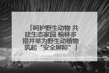 呵护野生动物 共建生态家园 榆林多措并举为野生动植物筑起“安全屏障”