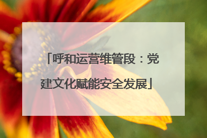 呼和运营维管段：党建文化赋能安全发展