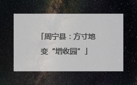 周宁县：方寸地变“增收园”