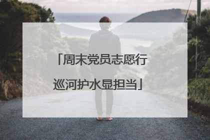 周末党员志愿行 巡河护水显担当