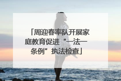 周迎春率队开展家庭教育促进“一法一条例”执法检查
