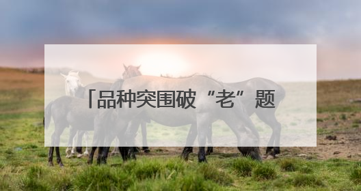 品种突围破“老”题，珍珠油桃写新篇