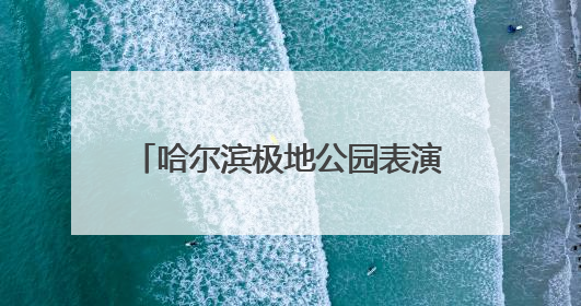 哈尔滨极地公园表演、景观重磅升级，打造多元假日新体验