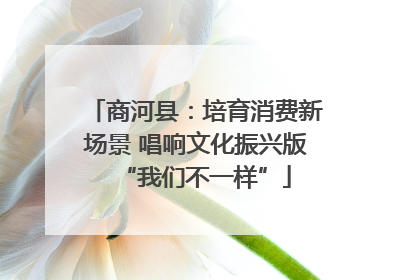 商河县：培育消费新场景 唱响文化振兴版“我们不一样”