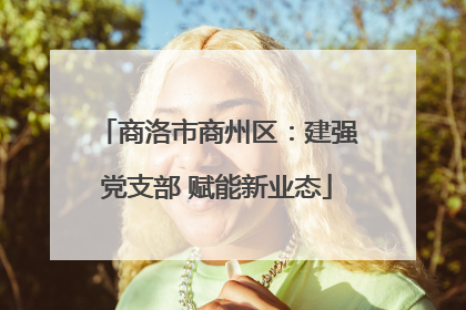 商洛市商州区：建强党支部 赋能新业态