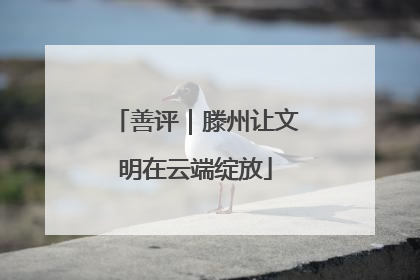 善评｜滕州让文明在云端绽放