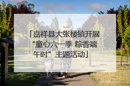 嘉祥县大张楼镇开展“童心六一季 粽香端午时”主题活动