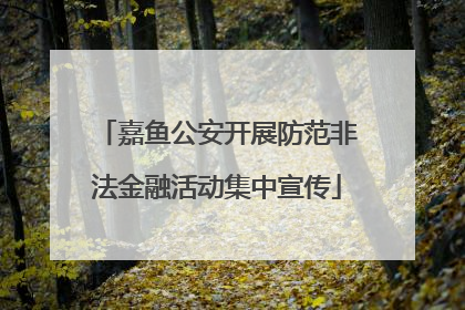 嘉鱼公安开展防范非法金融活动集中宣传