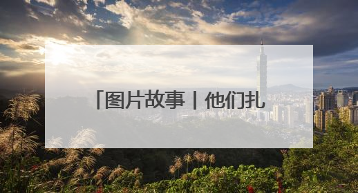 图片故事丨他们扎根深山 只为守护川金丝猴的家园