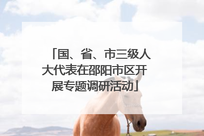 国、省、市三级人大代表在邵阳市区开展专题调研活动