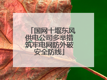 国网十堰东风供电公司多举措筑牢电网防外破安全防线