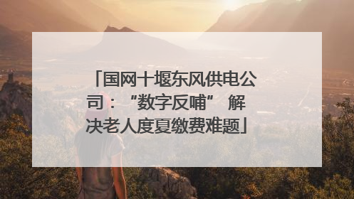 国网十堰东风供电公司：“数字反哺” 解决老人度夏缴费难题