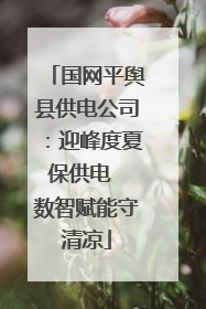国网平舆县供电公司：迎峰度夏保供电  数智赋能守清凉