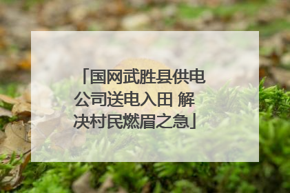 国网武胜县供电公司送电入田 解决村民燃眉之急
