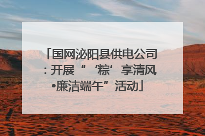 国网泌阳县供电公司：开展“‘粽’享清风 •廉洁端午”活动