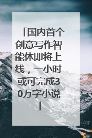 国内首个创意写作智能体即将上线，一小时或可完成30万字小说